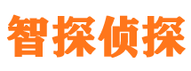 长洲侦探公司